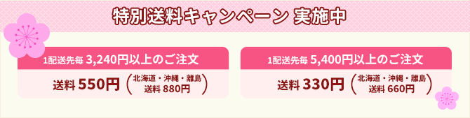 特別送料実施中