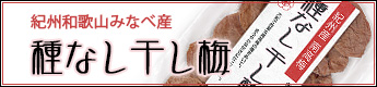 紀州産 南高梅「種なし干し梅」